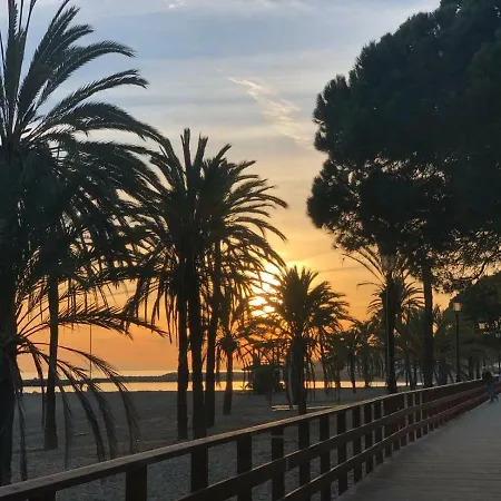 Great Puerto Banus *