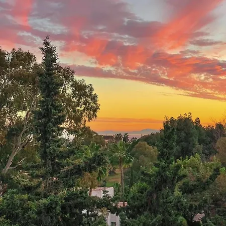 Great Puerto Banus *