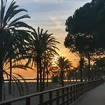 Great Puerto Banus *
