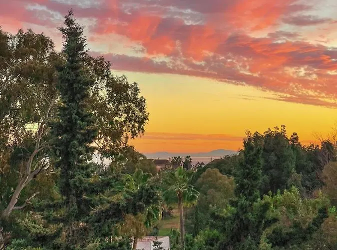 Great Puerto Banus *