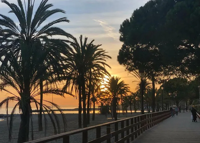 Great Puerto Banus *